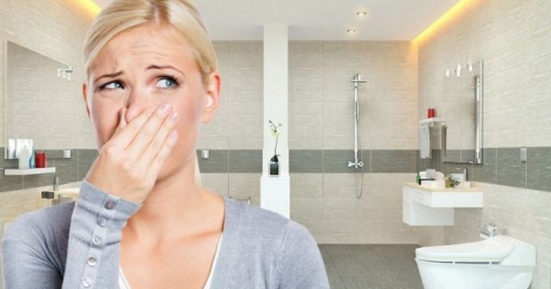 7 Cách Xử Lý Mùi Hôi Cống Thoát Nước Sàn Triệt Để 100% Trong 5 Phút (Cập nhật 2026) 3 Hướng dẫn 7 cách xử lý mùi hôi cống thoát nước tại nhà hiệu quả nhất