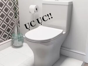 cống kêu ục ục